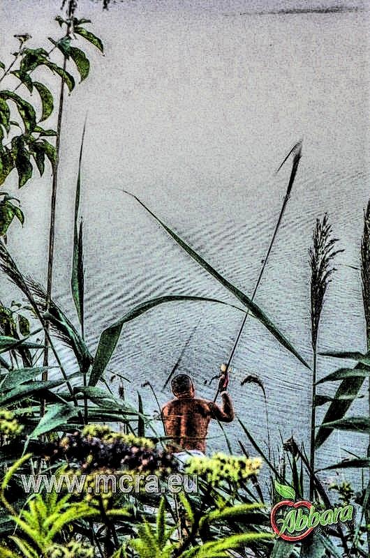 MeetCarp Romanian Awards 2013 (4) - 1017022hdrmode2.jpg